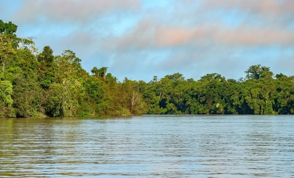 shutterstock 2735243223 kinabatangan