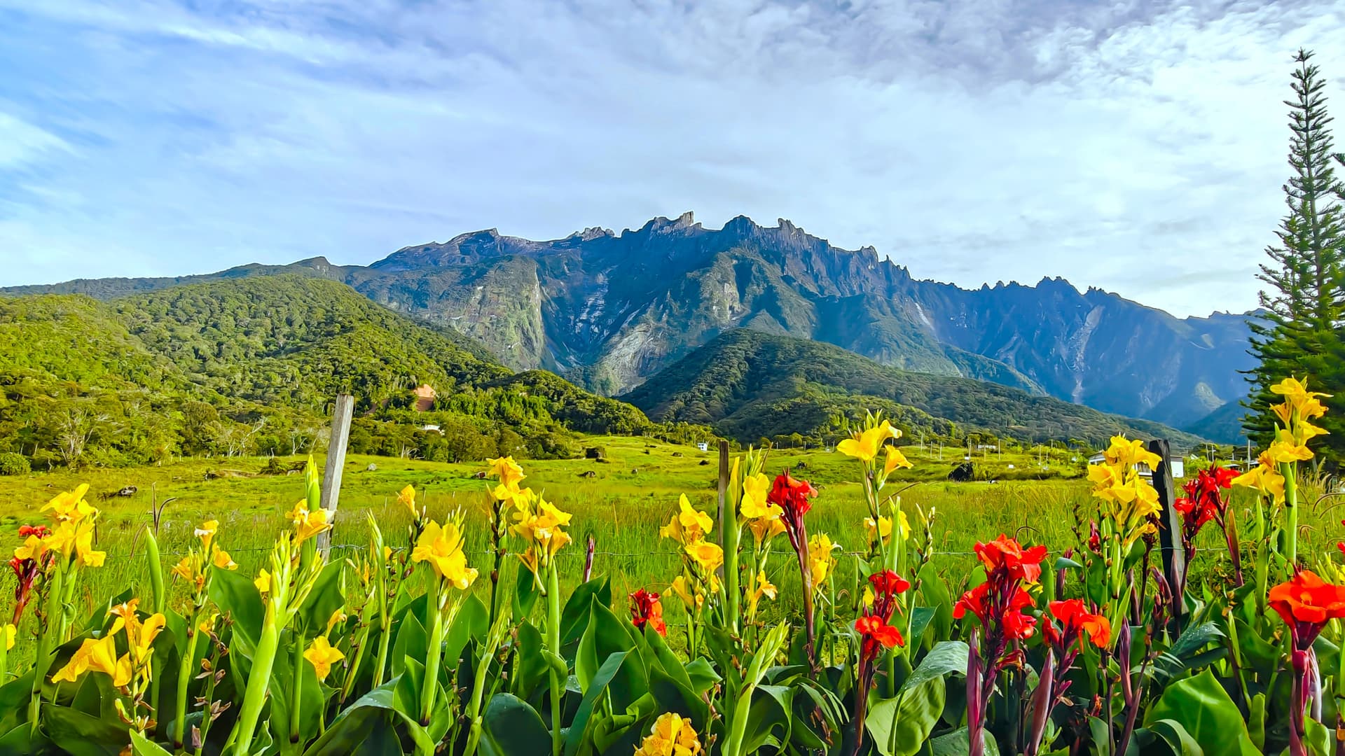 Borneo - Sabah