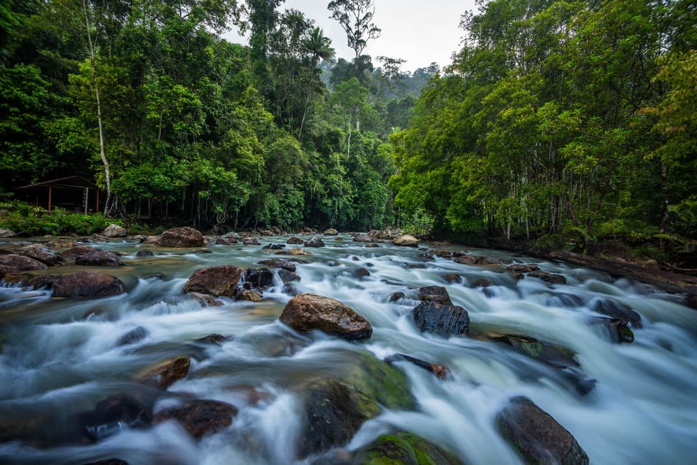 Endau-Rompin National Park