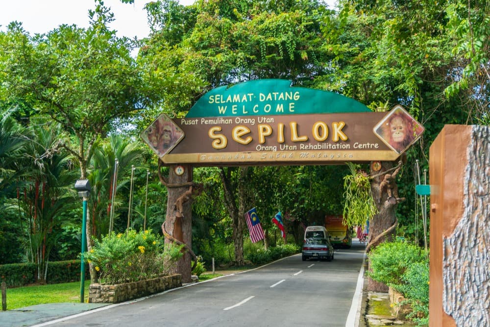 Orangutan Rehabilitation Centre